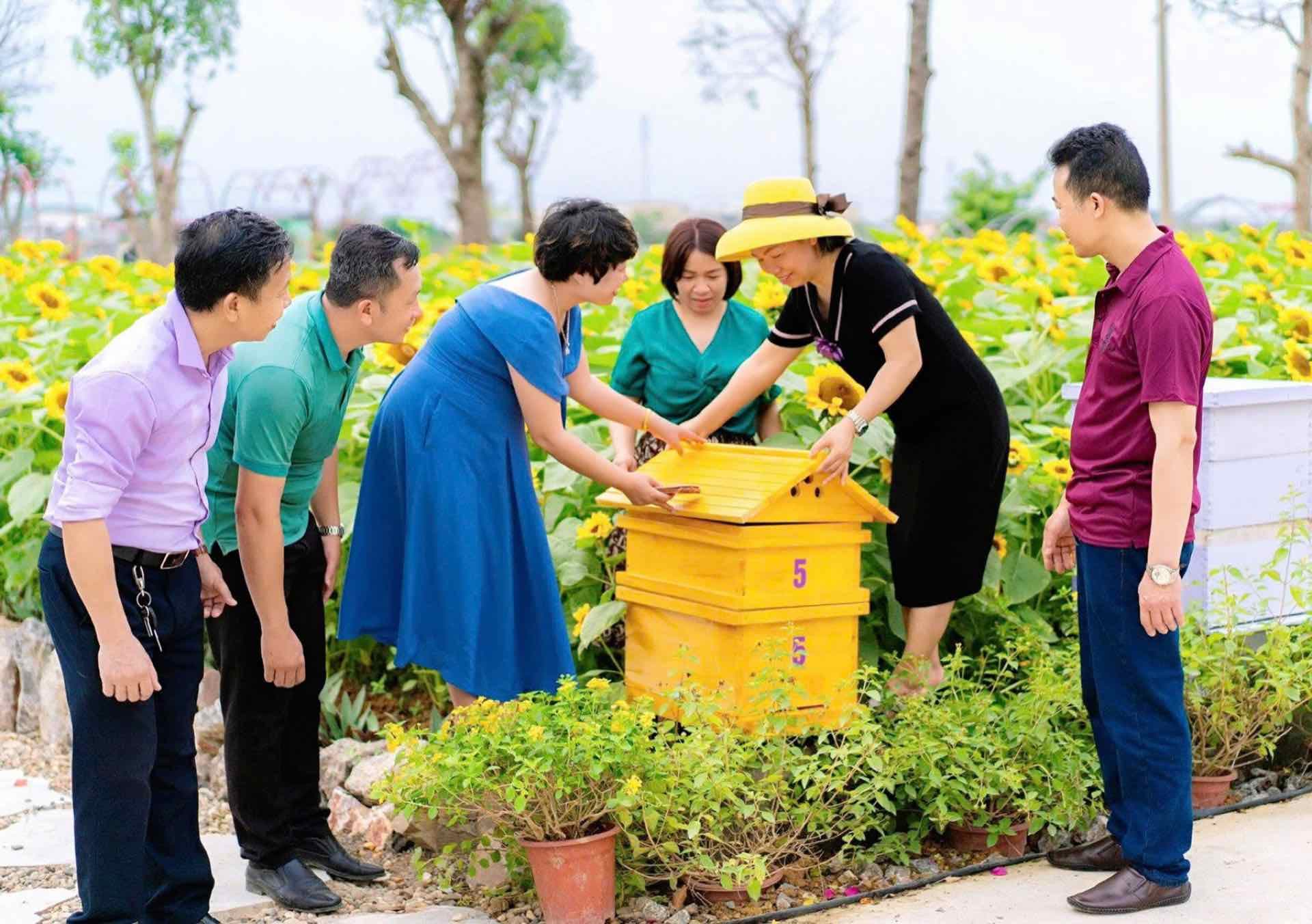 Kiểm tra thùng ong tại trại ong SBEE